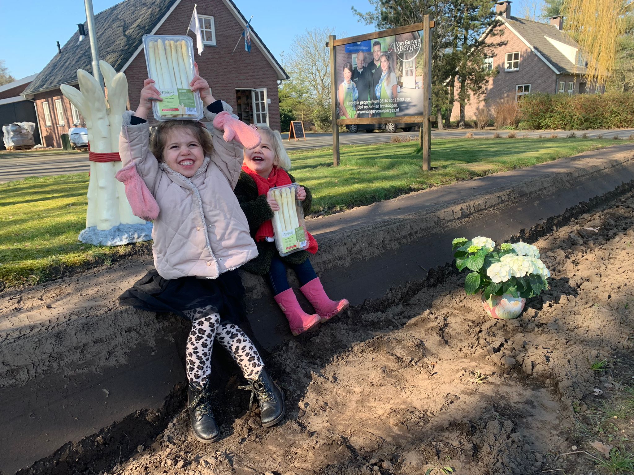 We hebben ze weer!! Verse asperges! We -zij-weer-geopend